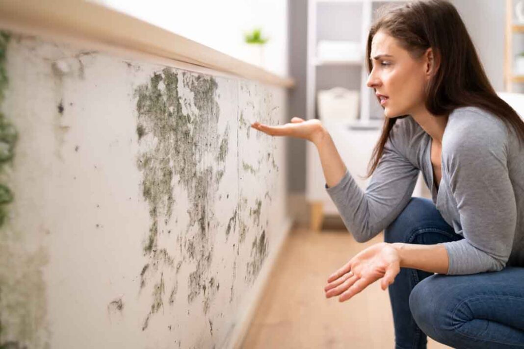 How to remove mold from walls